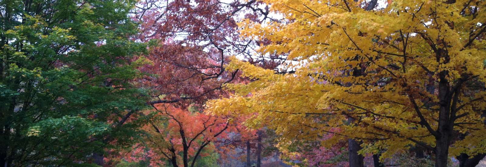 Riverside Cemetery in Fall